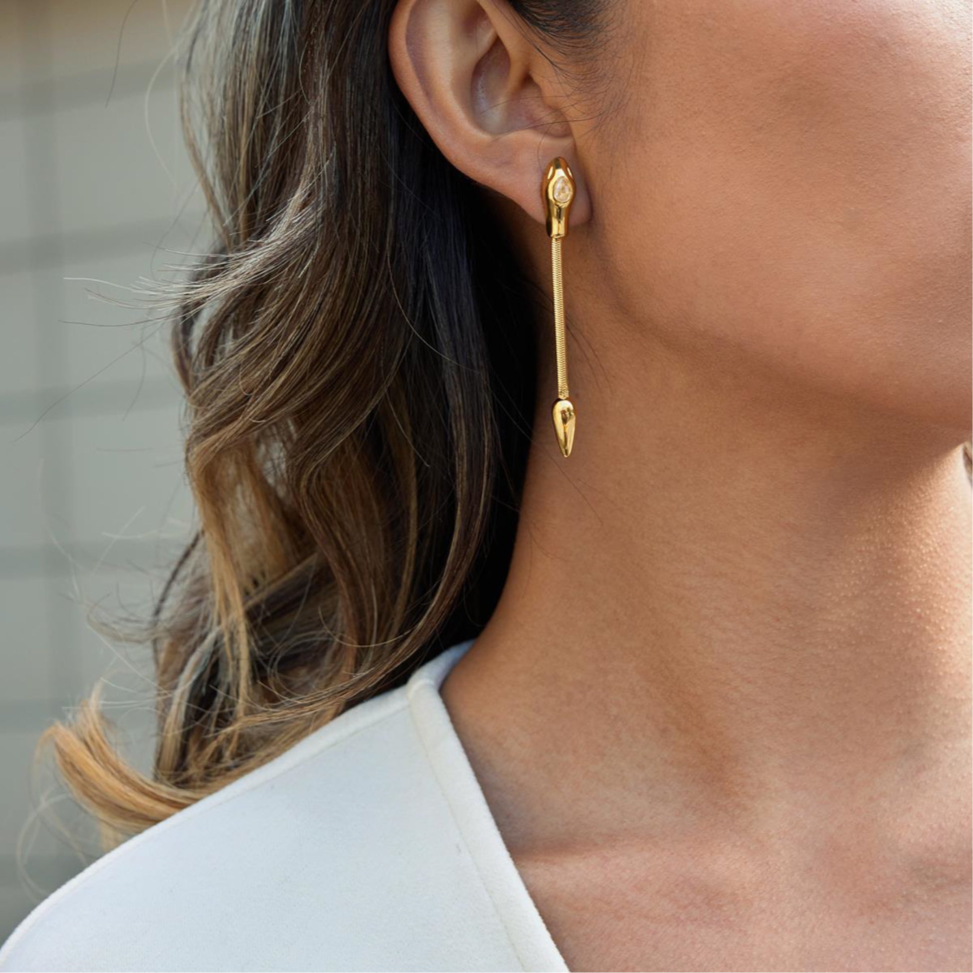 Snake Head Dangle Earrings