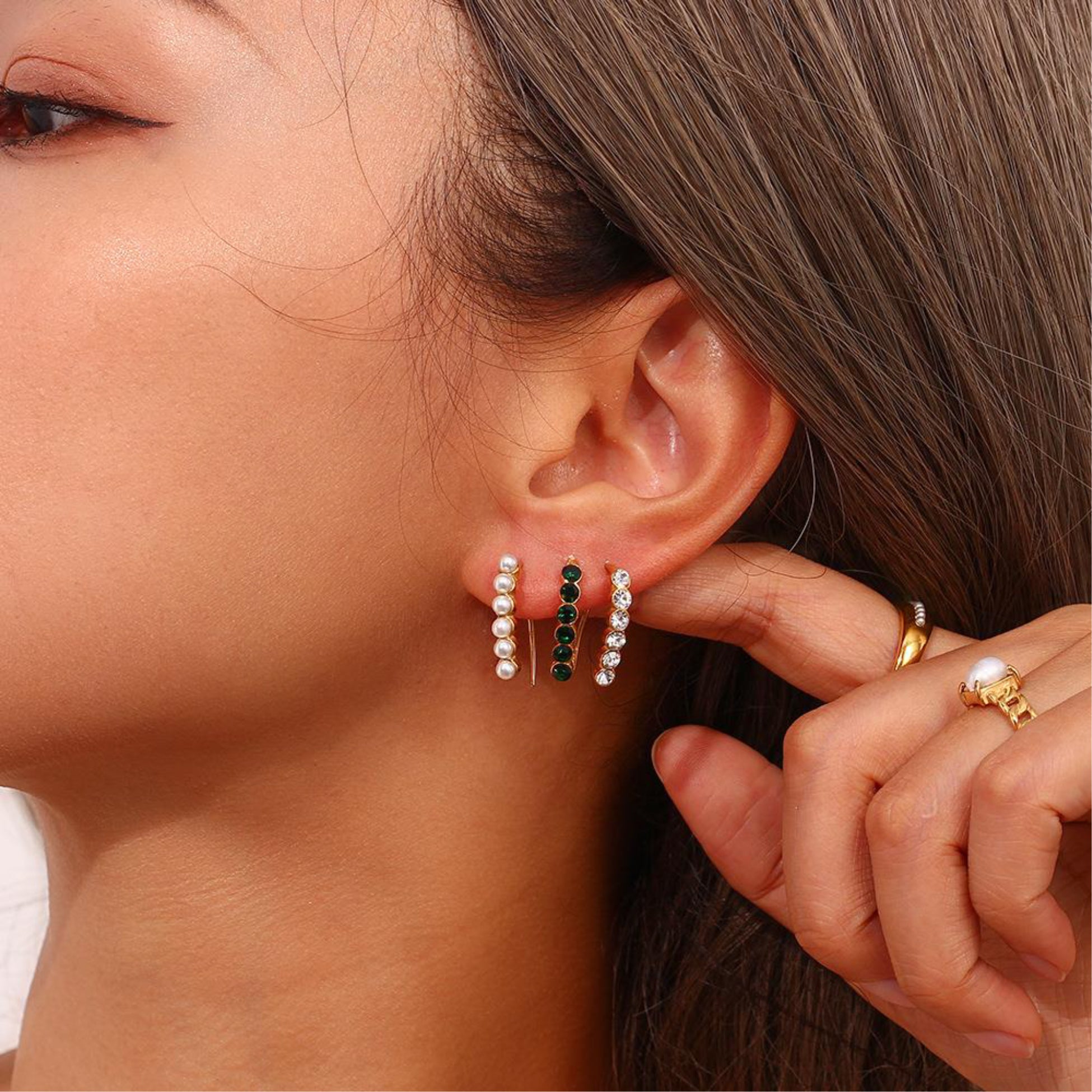 European Diamond Fish hook Earrings