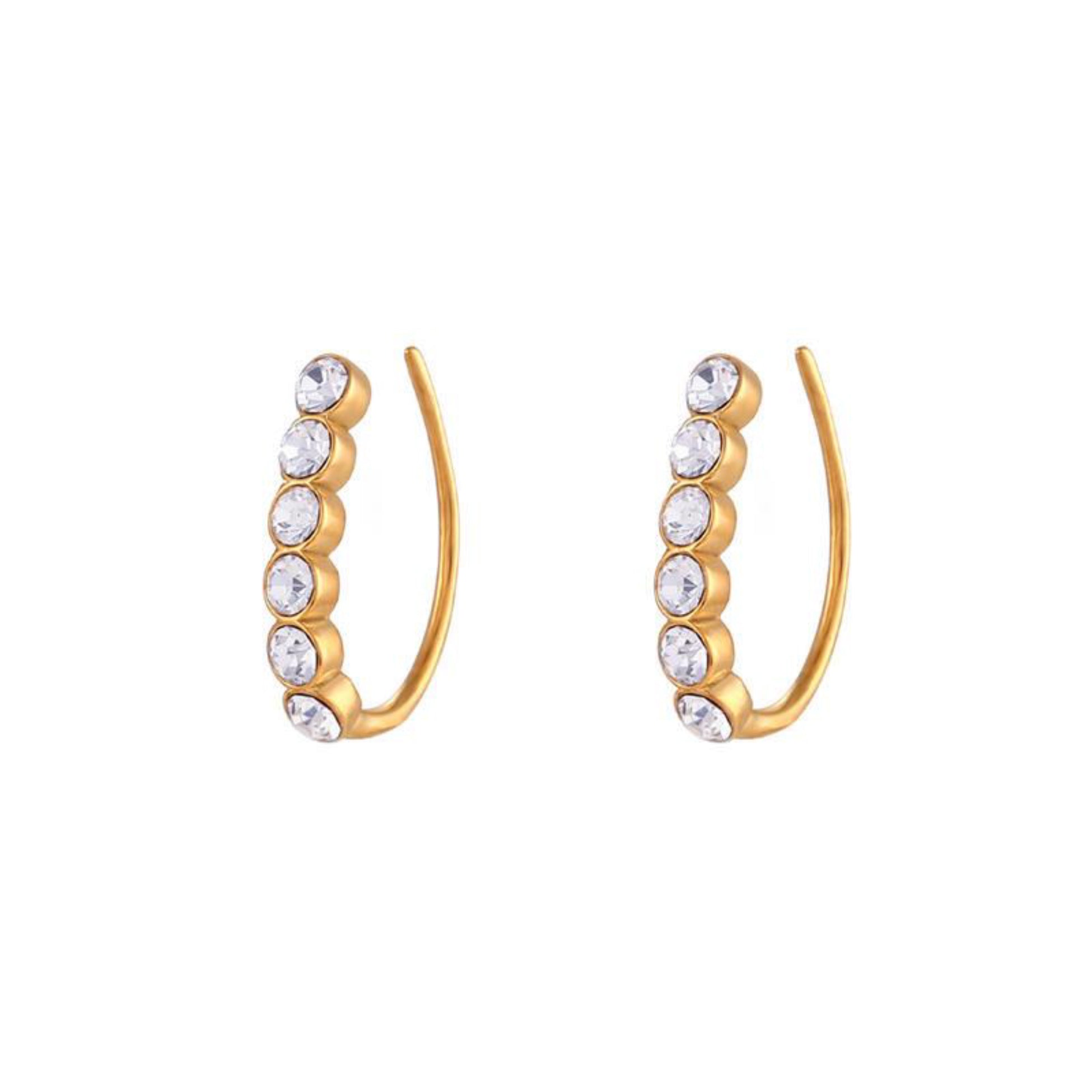 European Diamond Fish hook Earrings